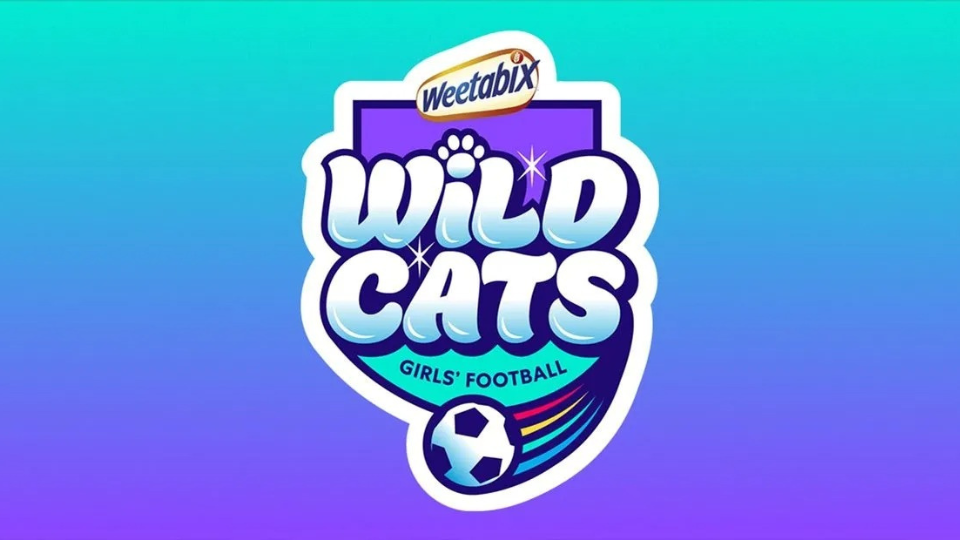 Wildcats team photo