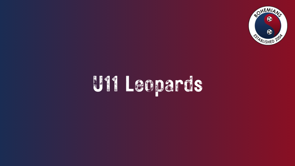 U11 Leopards photo