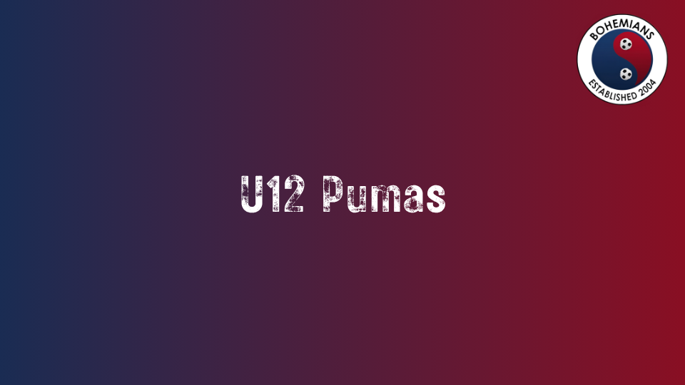 U12 Pumas photo