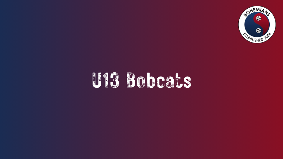U13 Bobcats photo