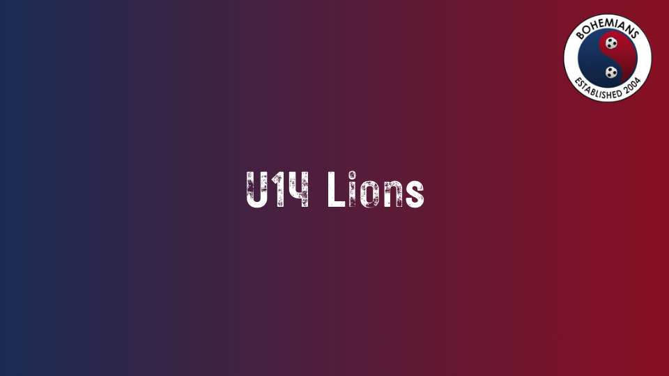U14 Lions photo