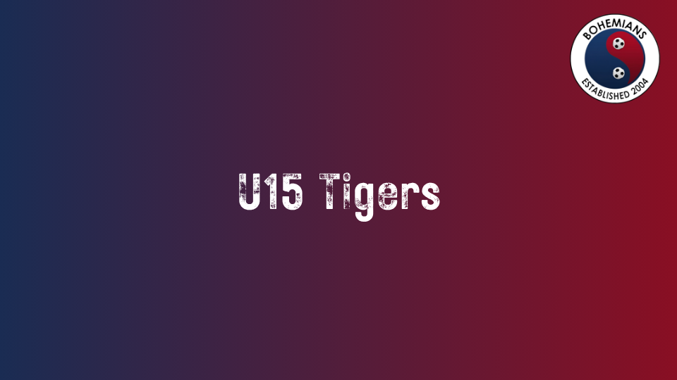 U15 Tigers photo