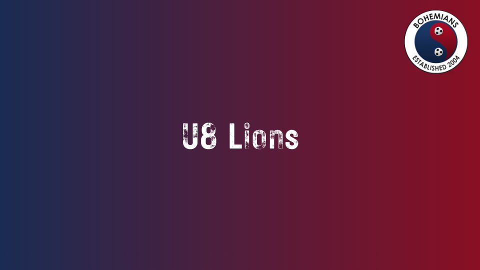 U8 Lions photo