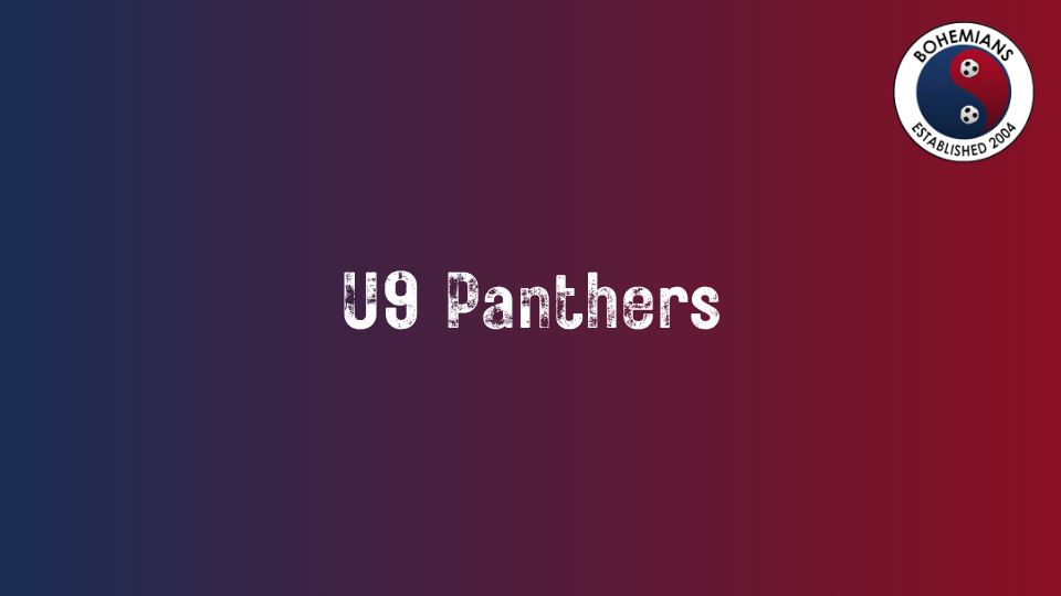 U9 Panthers photo